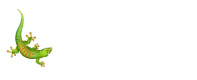 Logo_BOSTIK_white